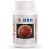 DXN Reishilium Powder